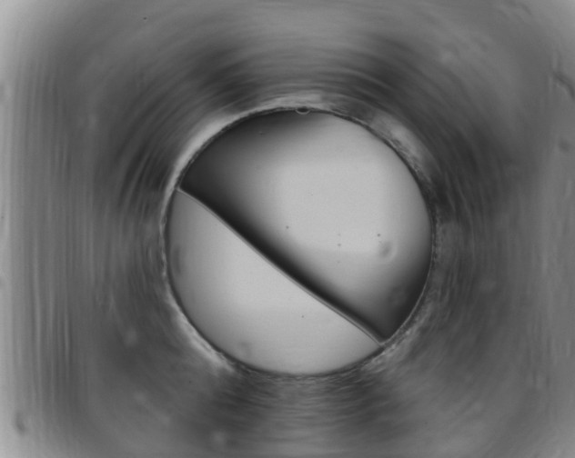 X0000097870808200803140917