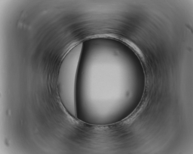 X0000097870809200803140917