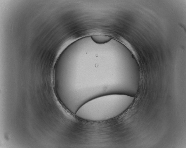 X0000097870811200803140917