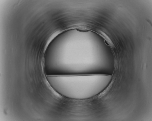 X0000097870812200803140917