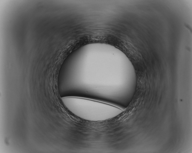 X0000097870817200803140916