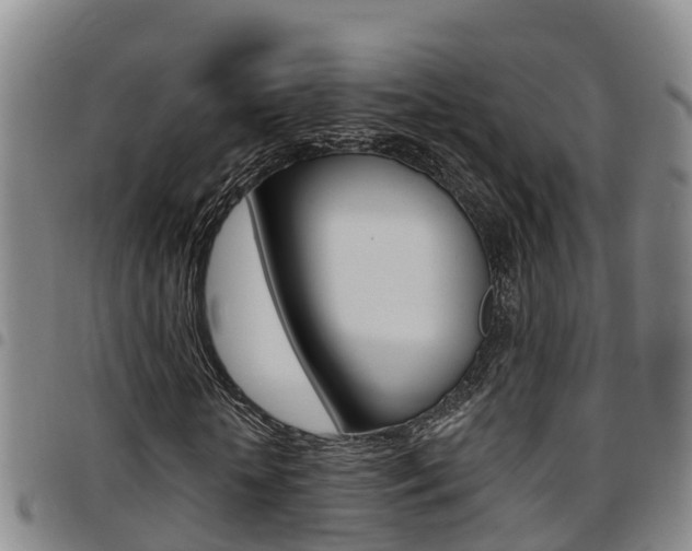 X0000097870818200803140916