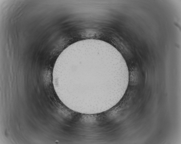 X0000097870820200803140916
