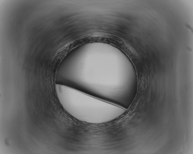 X0000097870821200803140916
