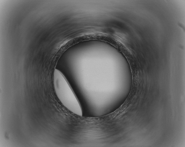 X0000097870822200803140916