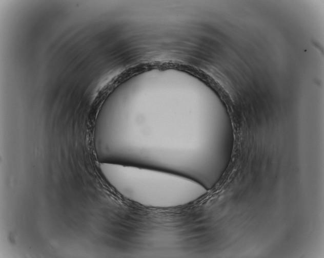 X0000097870823200803140916