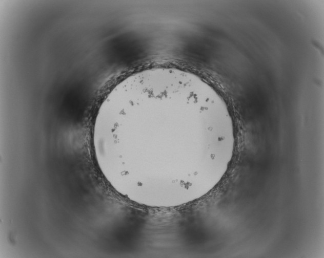 X0000097870824200803140916