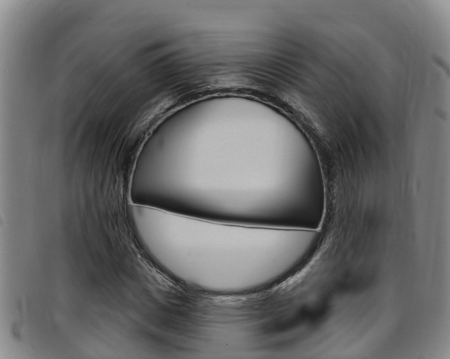 X0000097870825200803140916