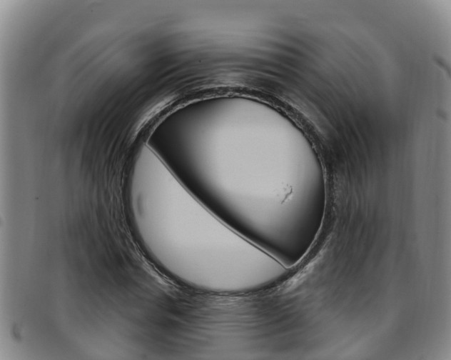 X0000097870826200803140916