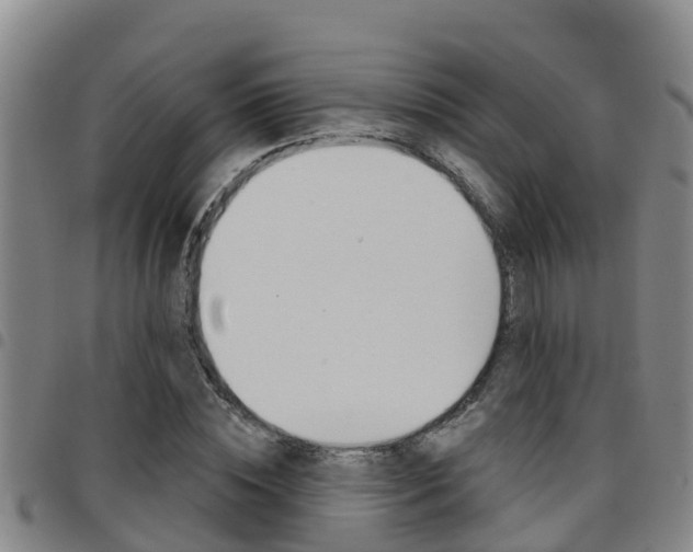 X0000097870828200803140916