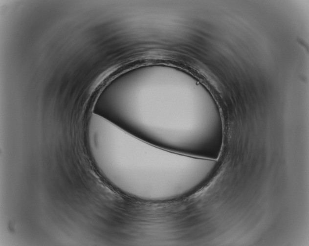 X0000097870829200803140916