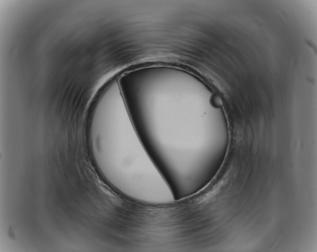 X0000097870830200803140916