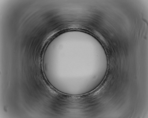 X0000097870831200803140916