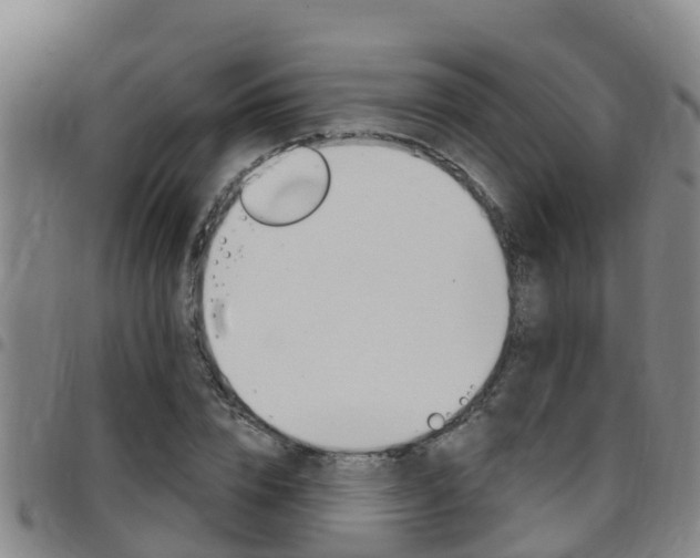 X0000097870832200803140916
