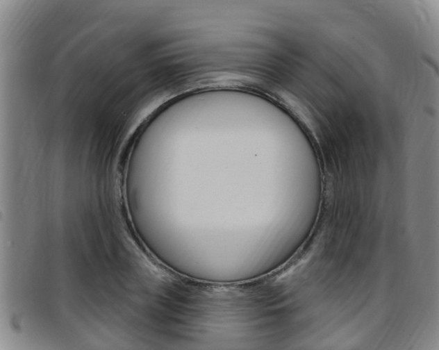 X0000097870835200803140916