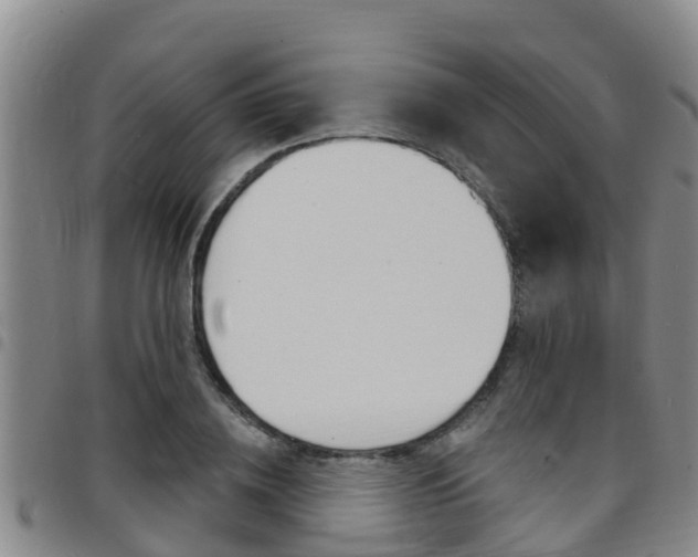 X0000097870836200803140916