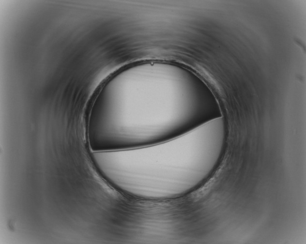 X0000097870838200803140916