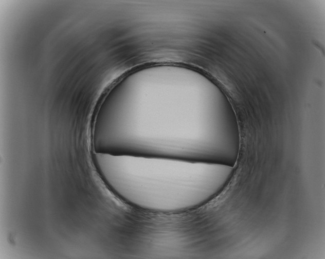 X0000097870840200803140916