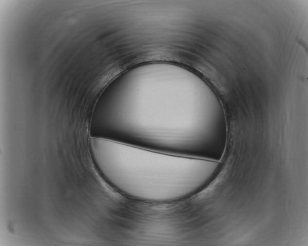 X0000097870841200803140916