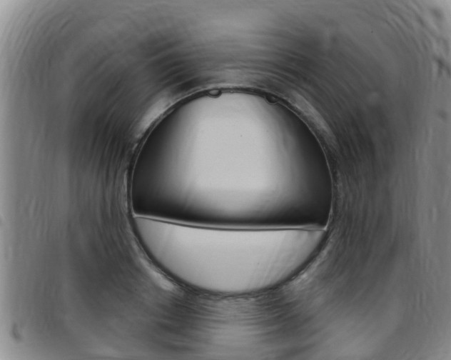 X0000097870842200803140916