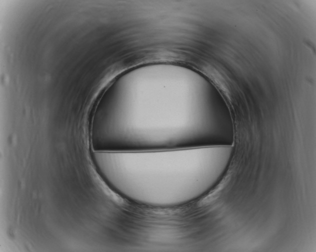 X0000097870843200803140916