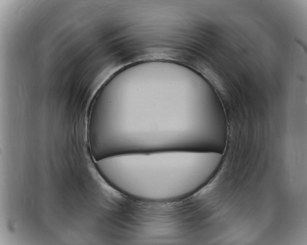 X0000097870844200803140916