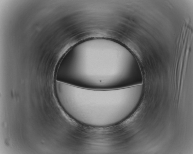 X0000097870845200803140916