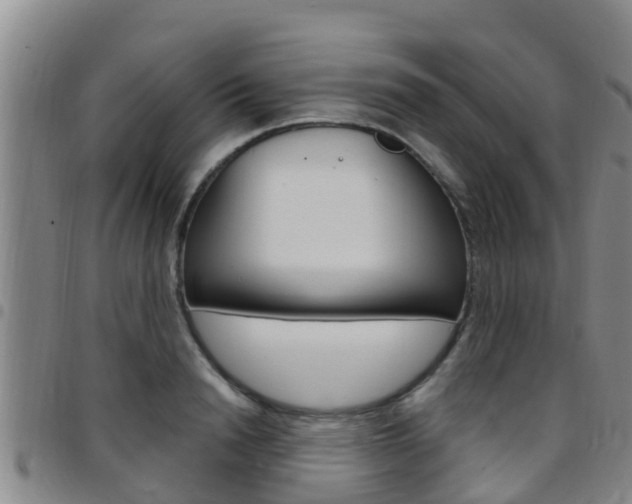 X0000097870846200803140916
