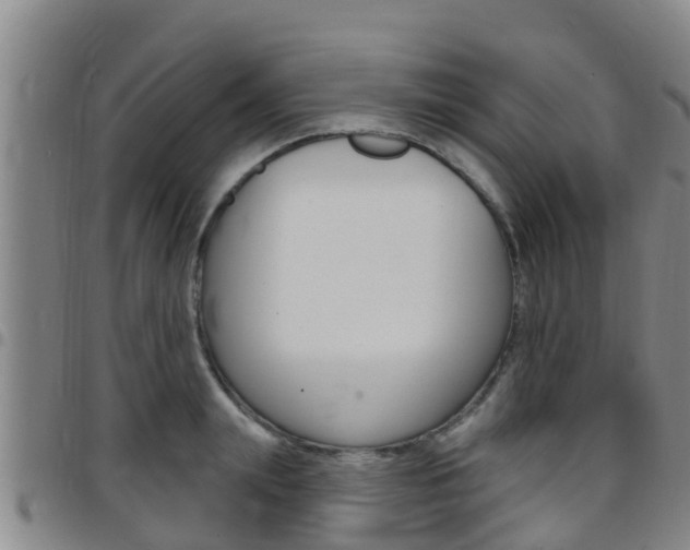 X0000097870847200803140916