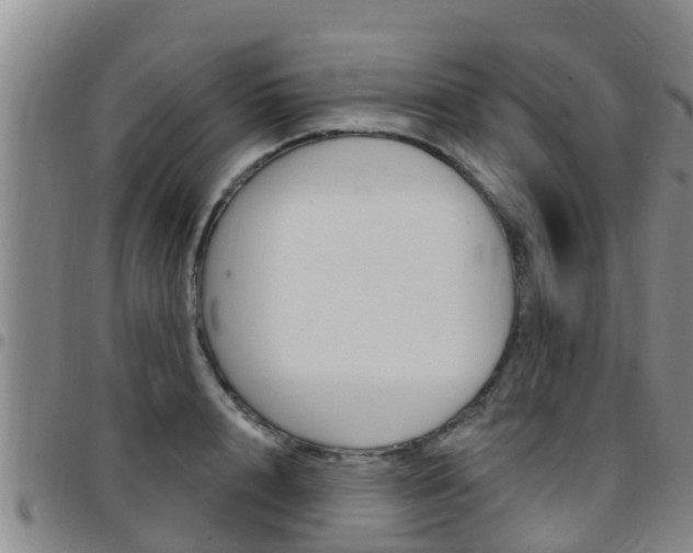 X0000097870848200803140916
