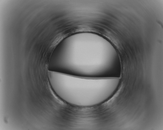 X0000097870849200803140916