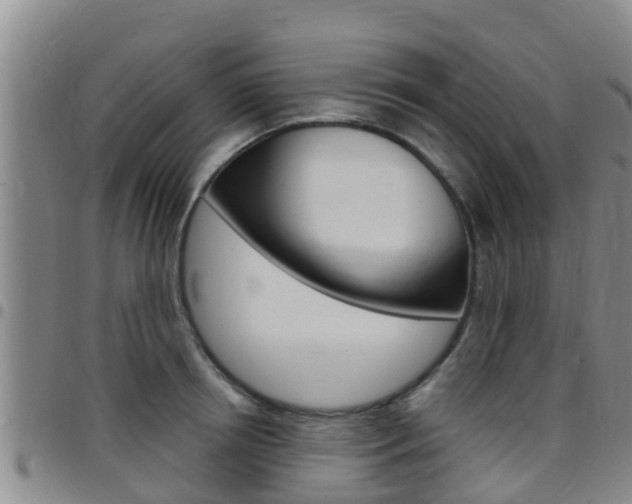 X0000097870850200803140916