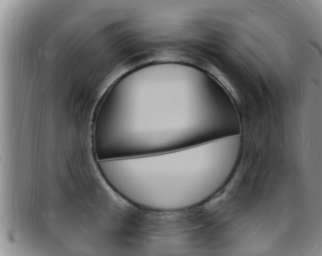 X0000097870853200803140916