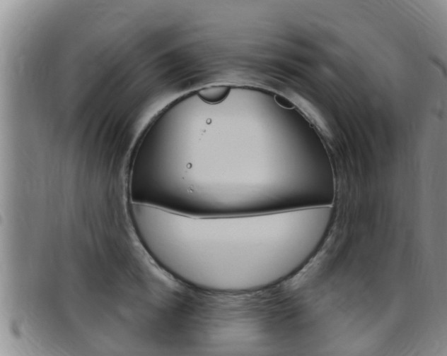 X0000097870854200803140916