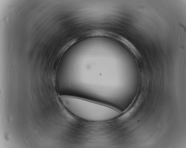 X0000097870857200803140916