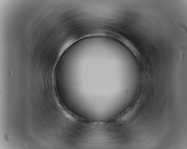X0000097870858200803140916