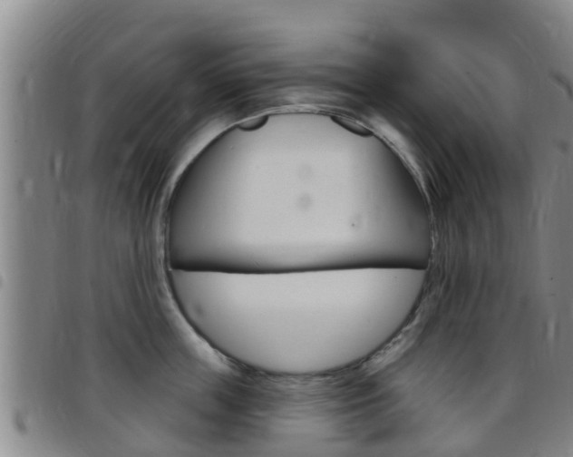X0000097870859200803140916