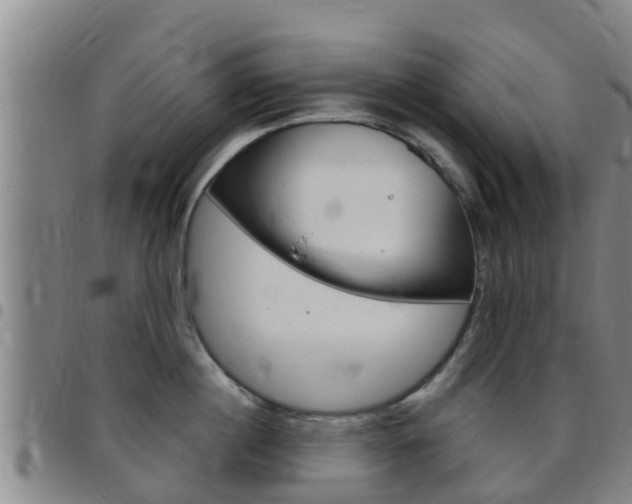 X0000097870860200803140916