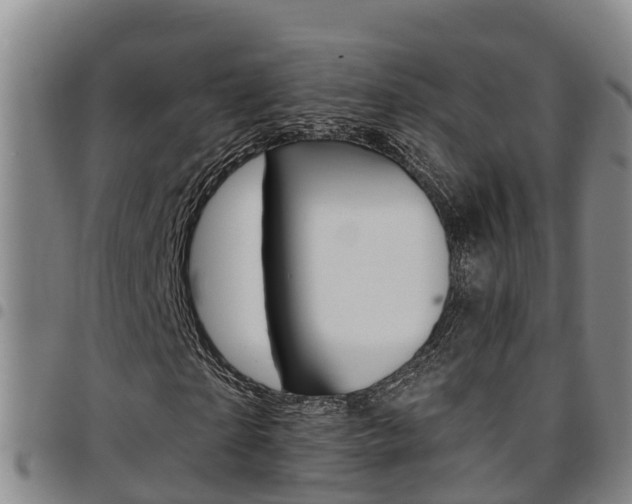 X0000097870865200803140916