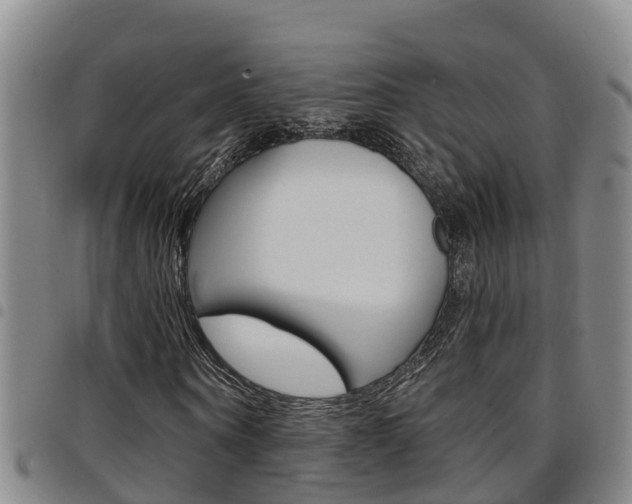 X0000097870866200803140916