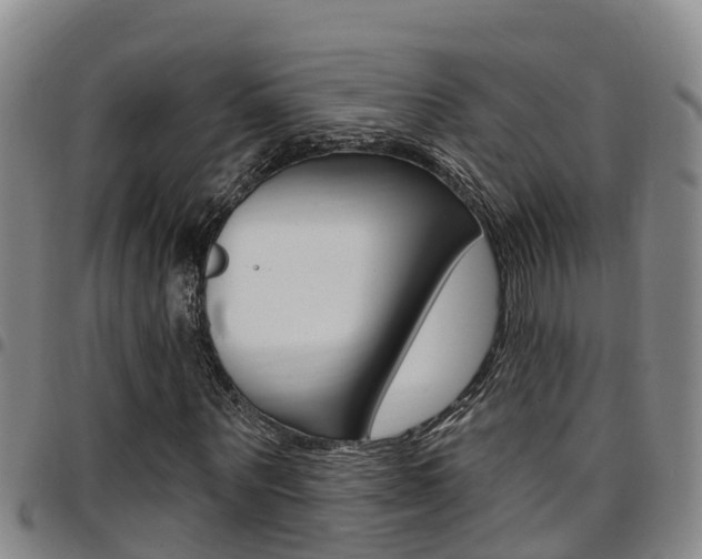 X0000097870867200803140916