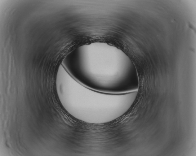 X0000097870868200803140916