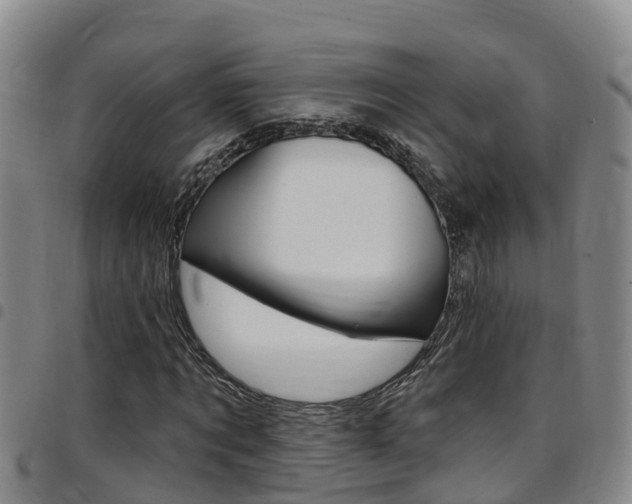 X0000097870869200803140916