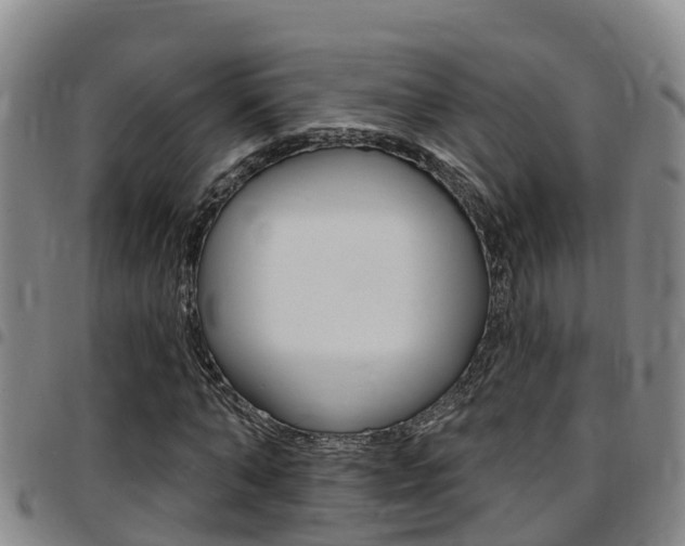 X0000097870870200803140916