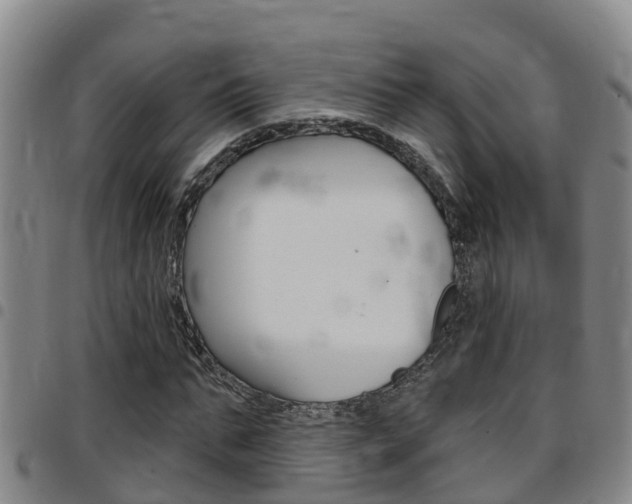 X0000097870871200803140916