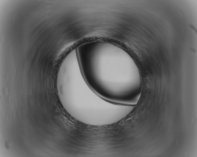 X0000097870872200803140916