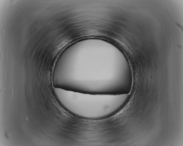 X0000097870873200803140916