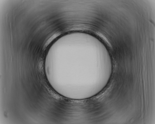 X0000097870874200803140916