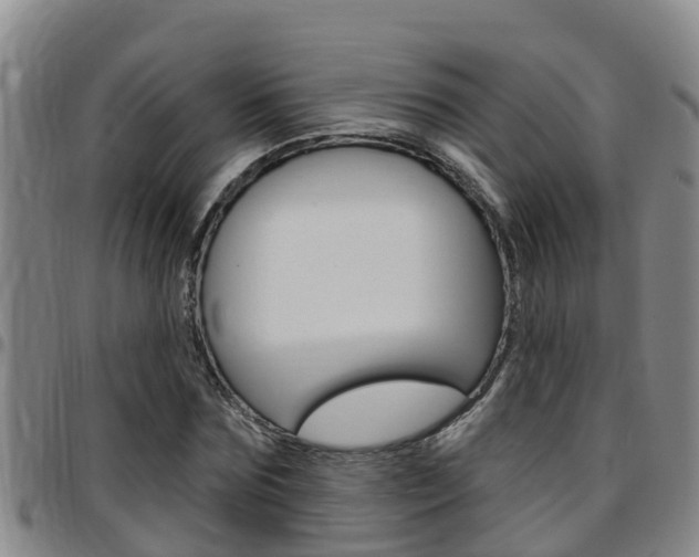 X0000097870875200803140915