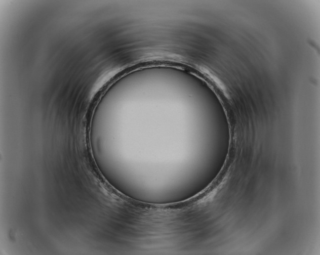 X0000097870877200803140915
